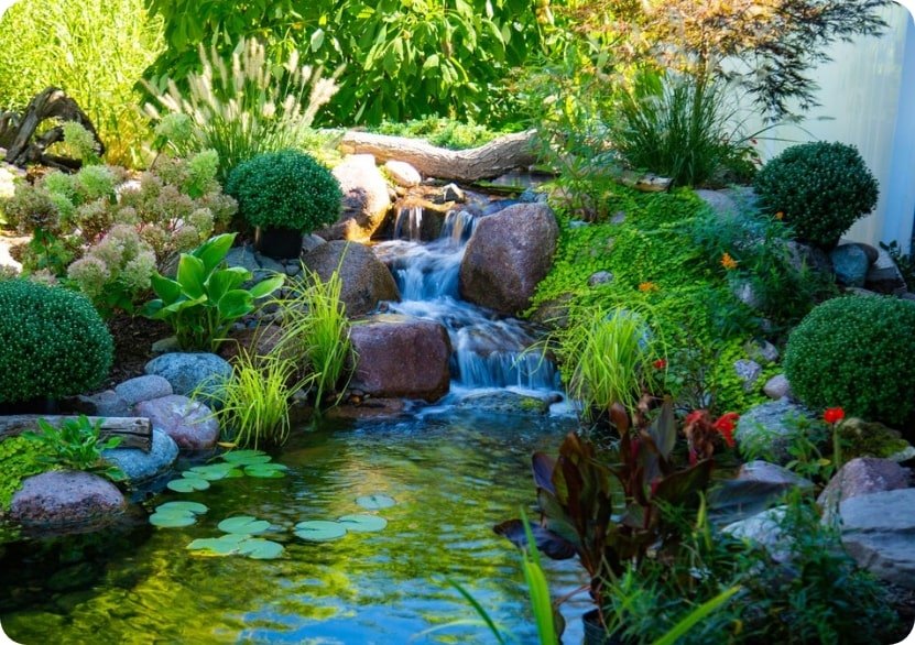 Ponds & Water Features service